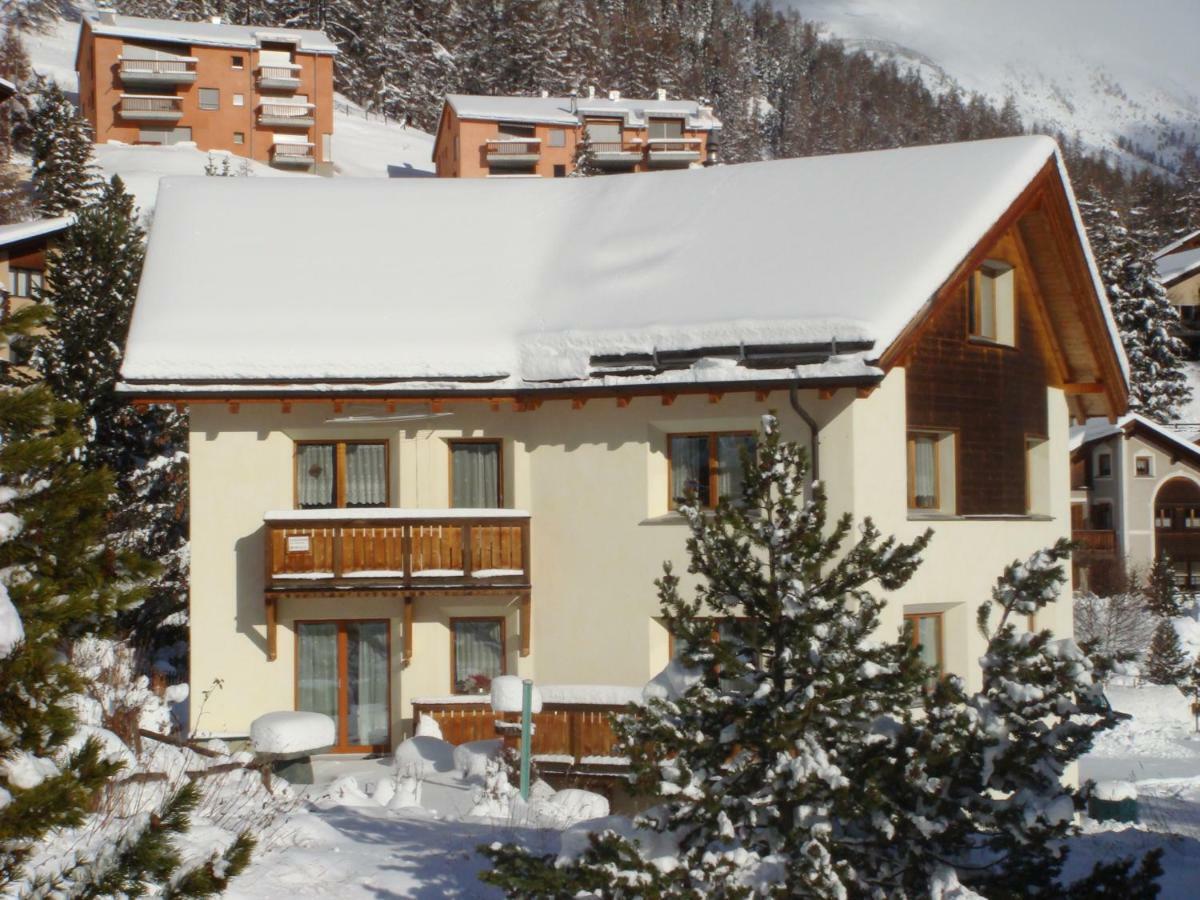 Crusch 32 Apartment Samedan Exterior foto